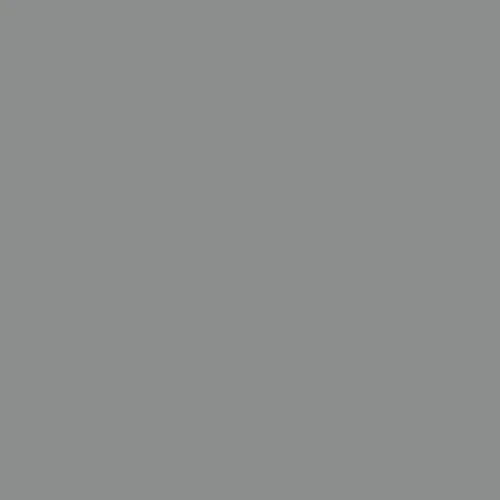 Image of Ncs S 4502-g Paint