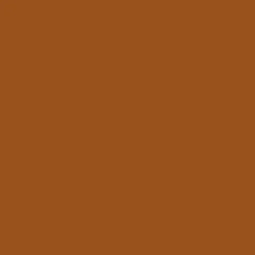 Image of Ncs S 4550-y40r Paint