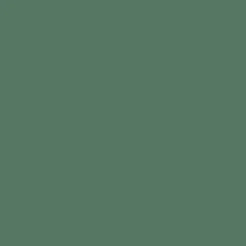 Image of Ncs S 5020-g10y Paint