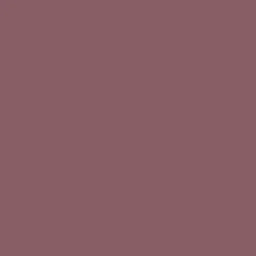 Image of Ncs S 5020-r10b Paint