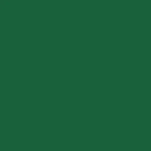 Image of Ncs S 5040-g10y Paint