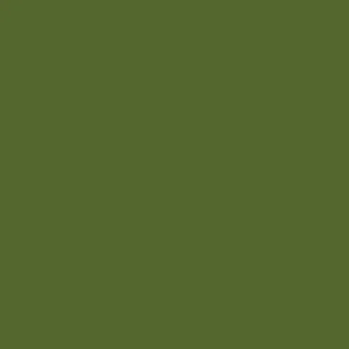 Image of Ncs S 5040-g40y Paint