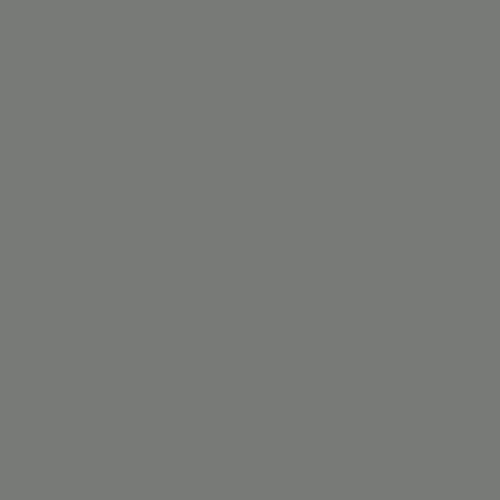 Image of Ncs S 5502-g Paint