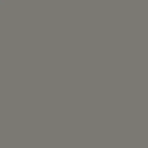 Image of Ncs S 5502-y Paint