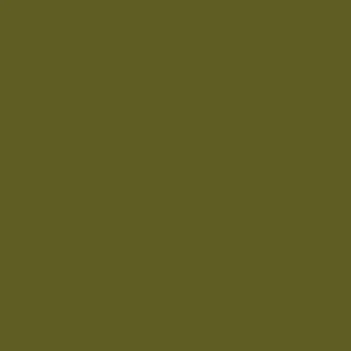 Image of Ncs S 5540-g70y Paint