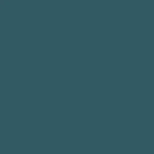 Image of Ncs S 6020-b10g Paint
