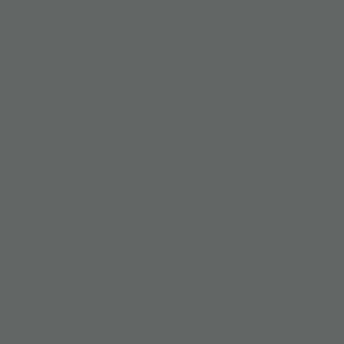 Image of Ncs S 6502-g Paint