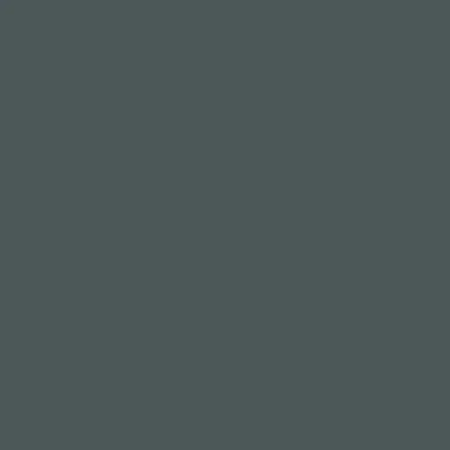 Image of Ncs S 7005-b20g Paint