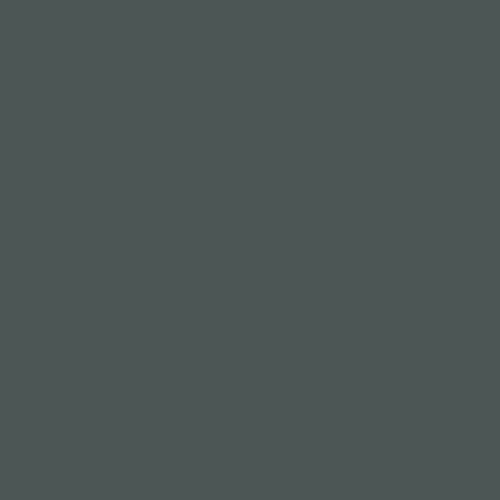 Image of Ncs S 7005-b80g Paint