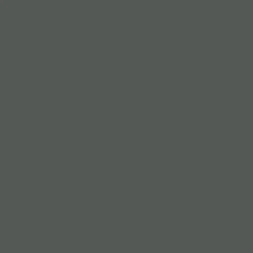 Image of Ncs S 7005-g20y Paint