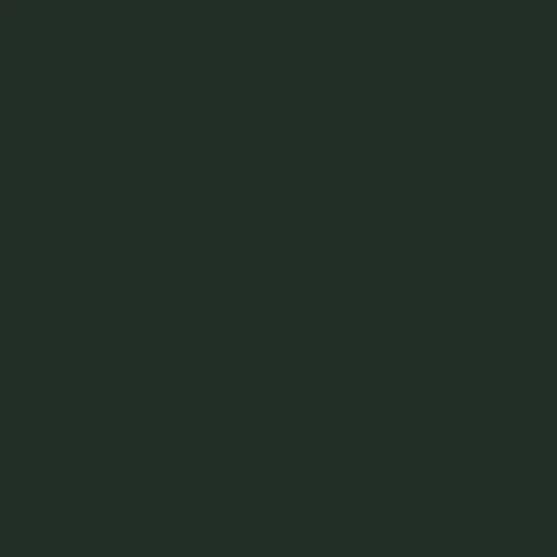 Image of Ncs S 8505-g20y Paint